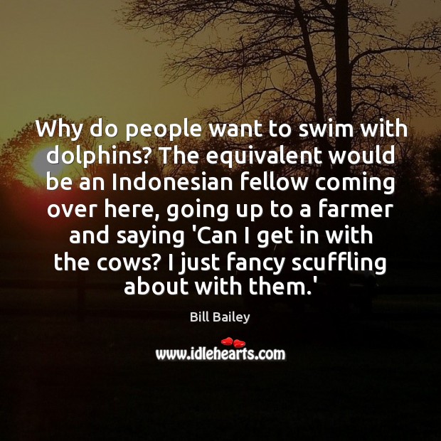Why do people want to swim with dolphins? The equivalent would be Bill Bailey Picture Quote