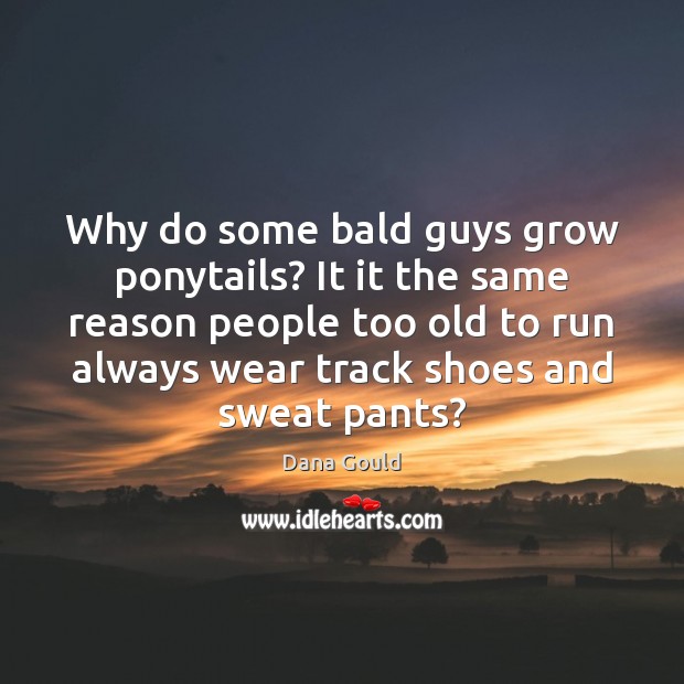 Why do some bald guys grow ponytails? It it the same reason Dana Gould Picture Quote