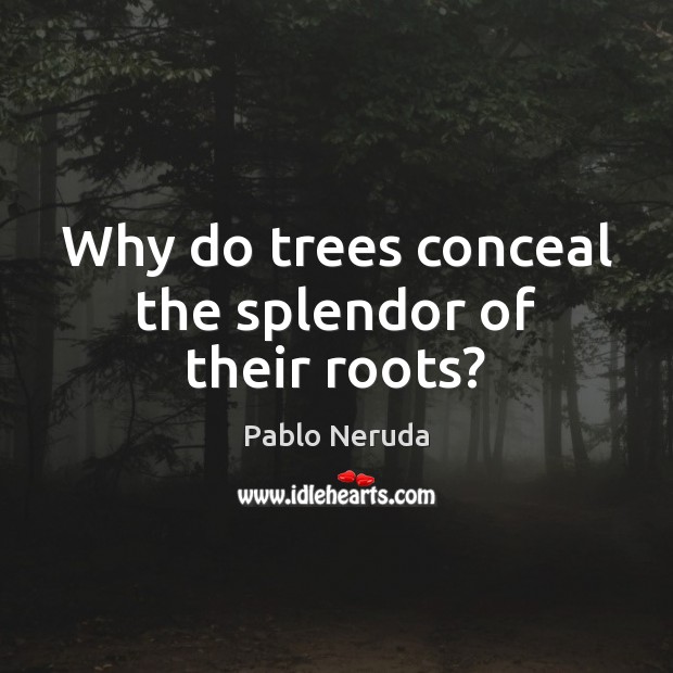 Why do trees conceal the splendor of their roots? Pablo Neruda Picture Quote