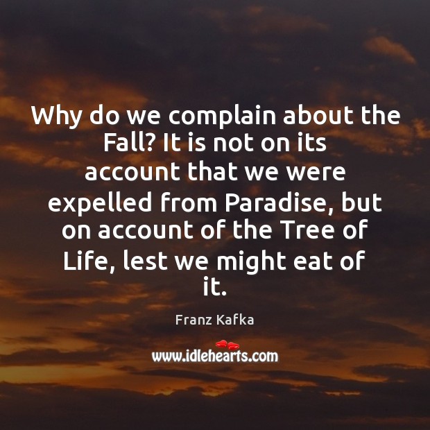 Why do we complain about the Fall? It is not on its Image