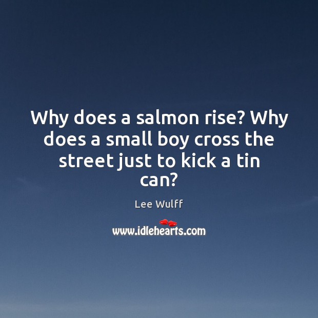 Why does a salmon rise? Why does a small boy cross the street just to kick a tin can? Lee Wulff Picture Quote