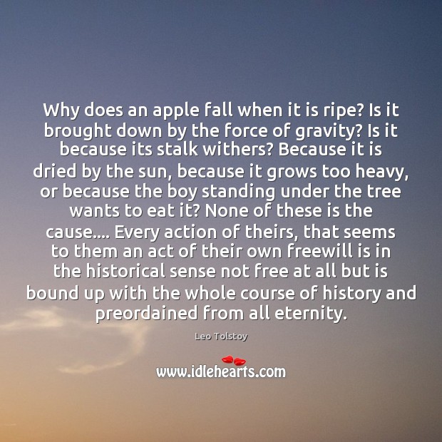 Why does an apple fall when it is ripe? Is it brought Image