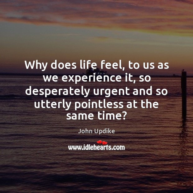 Why does life feel, to us as we experience it, so desperately John Updike Picture Quote