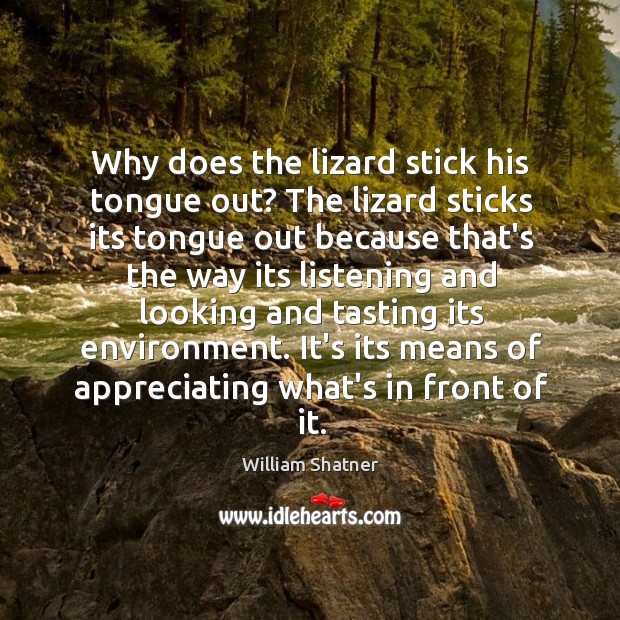 Why does the lizard stick his tongue out? The lizard sticks its William Shatner Picture Quote