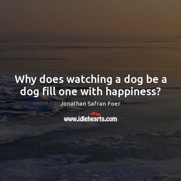 Why does watching a dog be a dog fill one with happiness? Jonathan Safran Foer Picture Quote