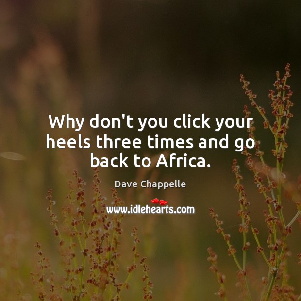 Why don’t you click your heels three times and go back to Africa. Dave Chappelle Picture Quote