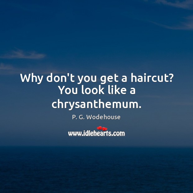 Why don’t you get a haircut? You look like a chrysanthemum. P. G. Wodehouse Picture Quote