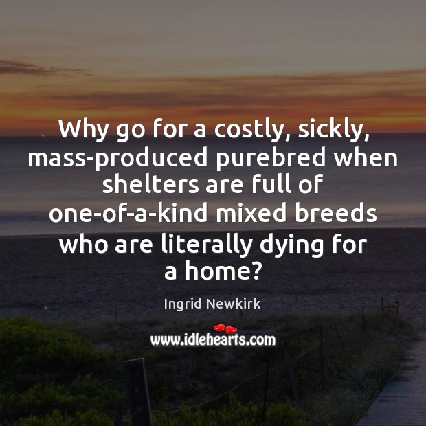 Why go for a costly, sickly, mass-produced purebred when shelters are full Ingrid Newkirk Picture Quote