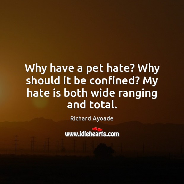 Why have a pet hate? Why should it be confined? My hate is both wide ranging and total. Richard Ayoade Picture Quote
