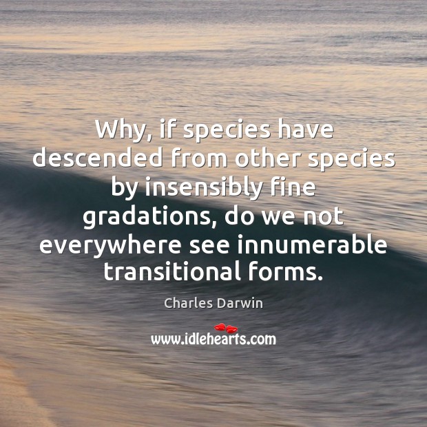Why, if species have descended from other species by insensibly fine gradations, Charles Darwin Picture Quote