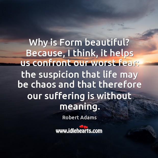 Why is Form beautiful? Because, I think, it helps us confront our Robert Adams Picture Quote