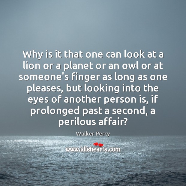 Why is it that one can look at a lion or a Walker Percy Picture Quote