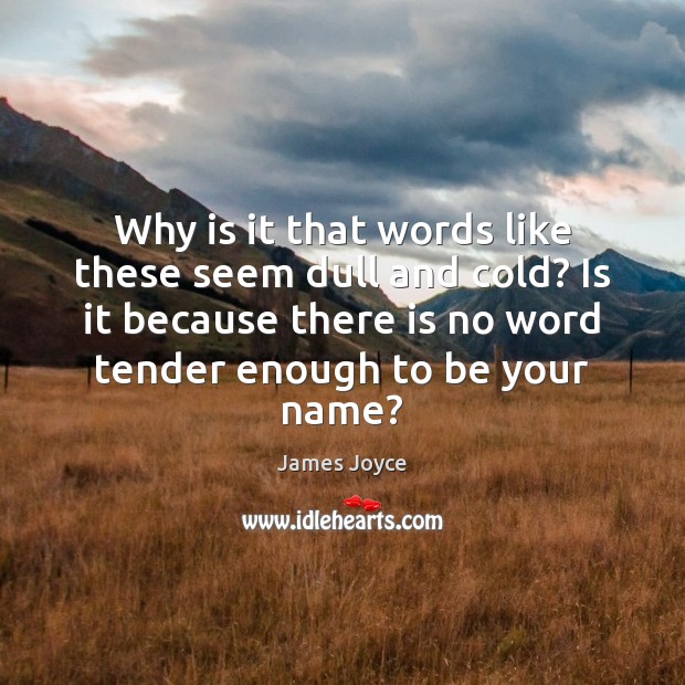 Why is it that words like these seem dull and cold? Is James Joyce Picture Quote