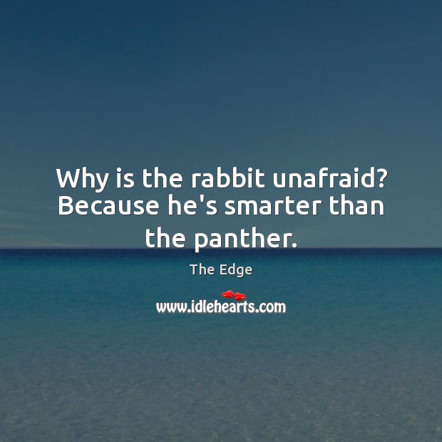 Why is the rabbit unafraid? Because he’s smarter than the panther. The Edge Picture Quote