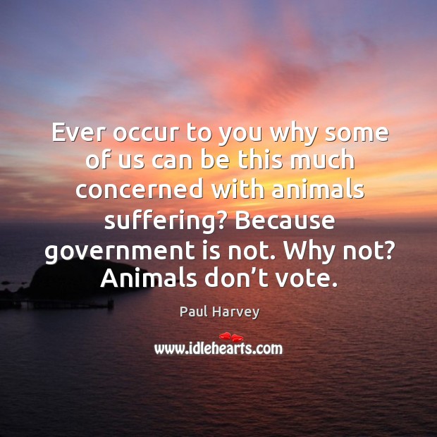 Why not? animals don’t vote. Image