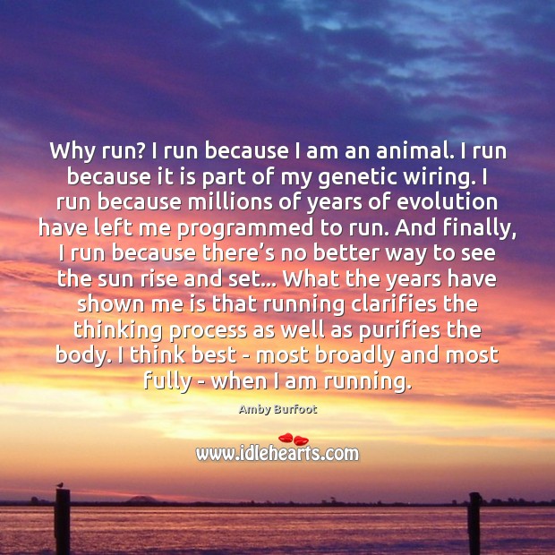 Why run? I run because I am an animal. I run because Image