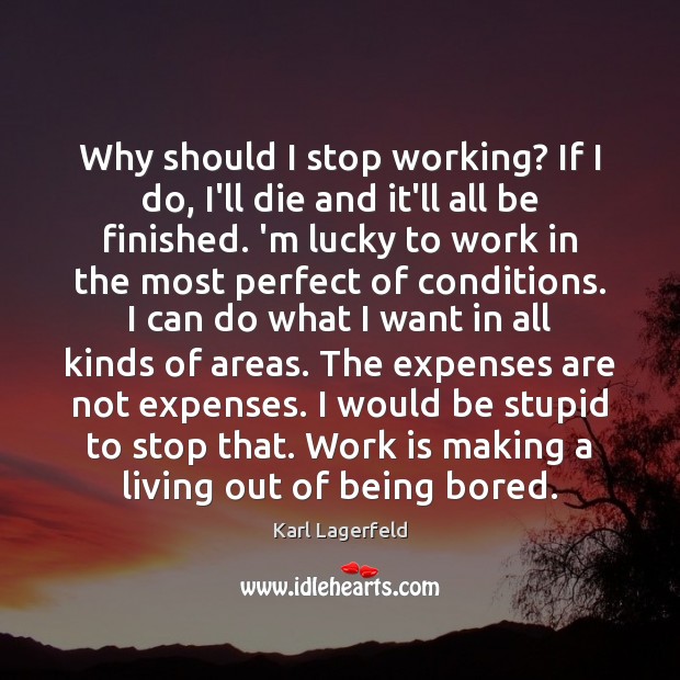 Why should I stop working? If I do, I’ll die and it’ll Karl Lagerfeld Picture Quote