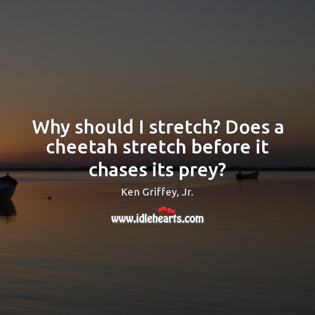 Why should I stretch? Does a cheetah stretch before it chases its prey? Ken Griffey, Jr. Picture Quote