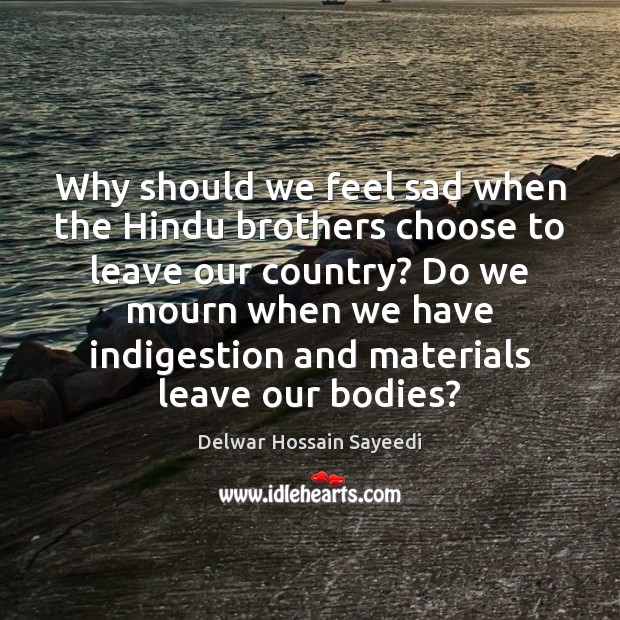 Why should we feel sad when the Hindu brothers choose to leave Image