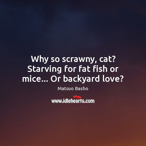 Why so scrawny, cat? Starving for fat fish or mice… Or backyard love? Matsuo Basho Picture Quote