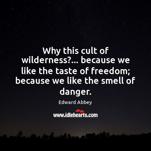 Why this cult of wilderness?… because we like the taste of freedom; Edward Abbey Picture Quote