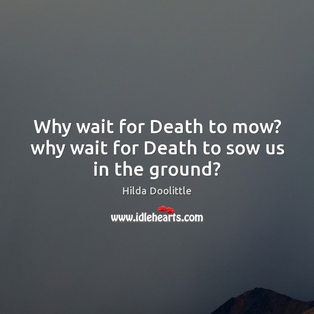 Why wait for Death to mow? why wait for Death to sow us in the ground? Hilda Doolittle Picture Quote