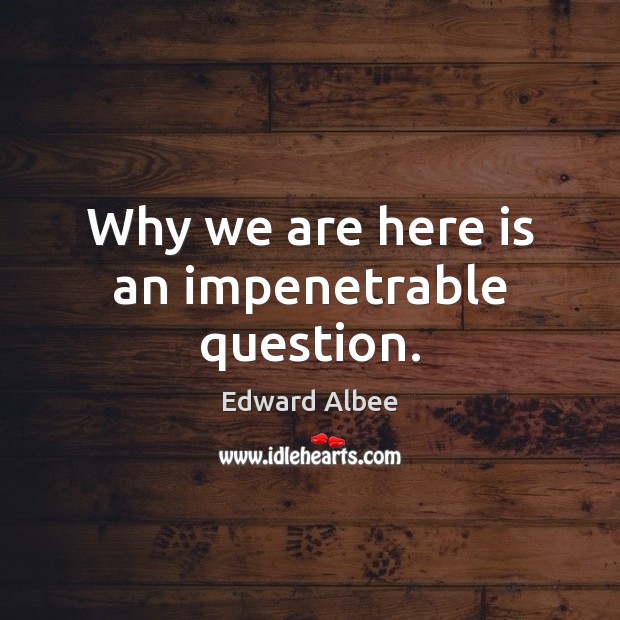 Why we are here is an impenetrable question. Edward Albee Picture Quote