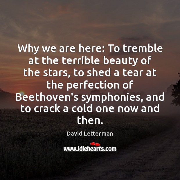 Why we are here: To tremble at the terrible beauty of the David Letterman Picture Quote