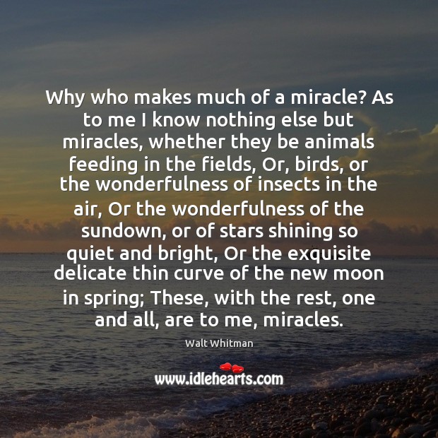 Why who makes much of a miracle? As to me I know - IdleHearts