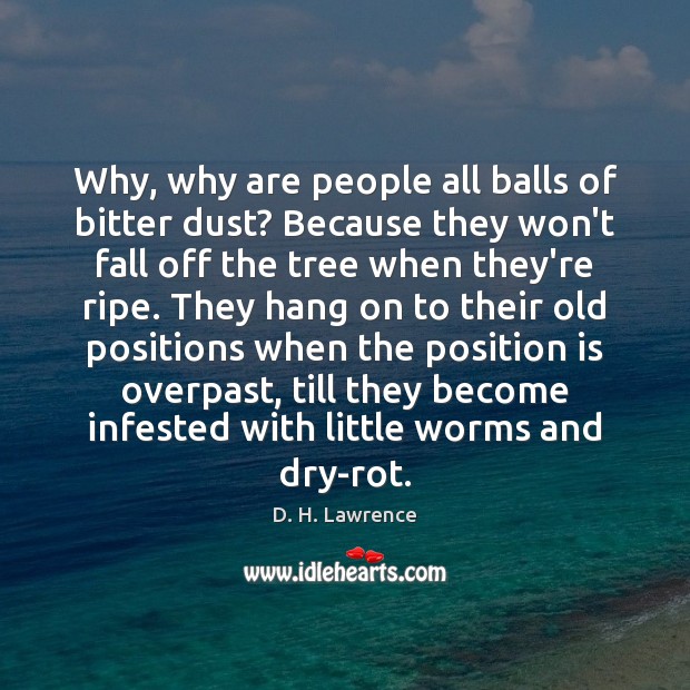 Why, why are people all balls of bitter dust? Because they won’t D. H. Lawrence Picture Quote