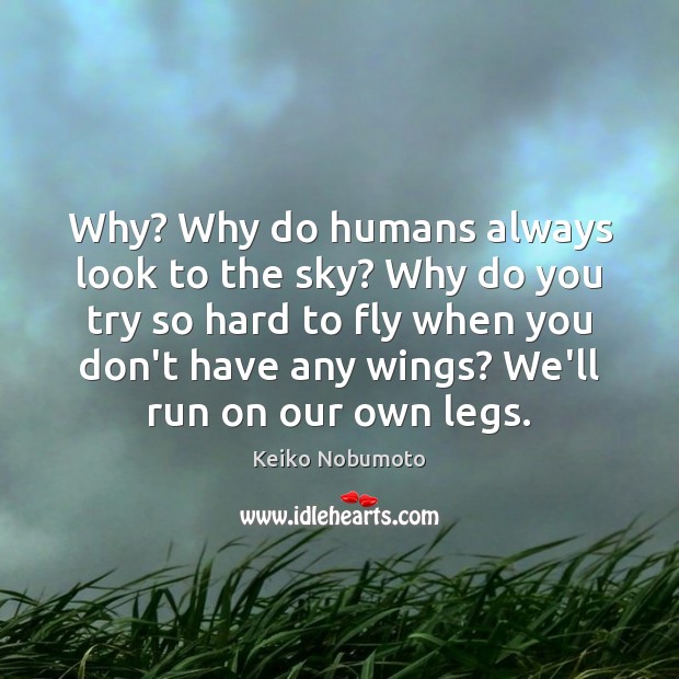 Why? Why do humans always look to the sky? Why do you Keiko Nobumoto Picture Quote