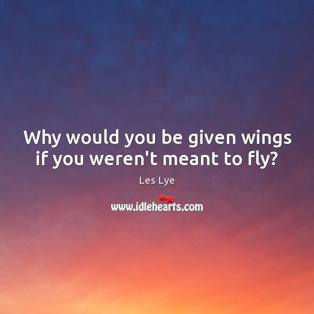 Why would you be given wings if you weren’t meant to fly? Image