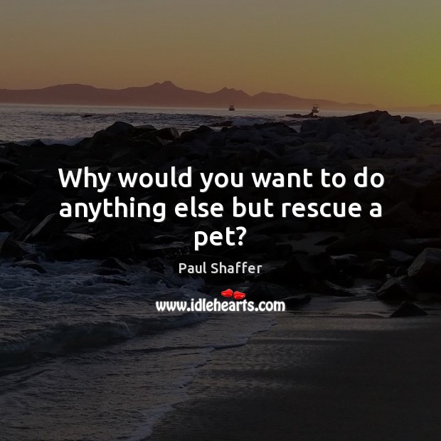 Why would you want to do anything else but rescue a pet? Paul Shaffer Picture Quote