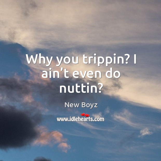 Why you trippin? I ain’t even do nuttin? New Boyz Picture Quote