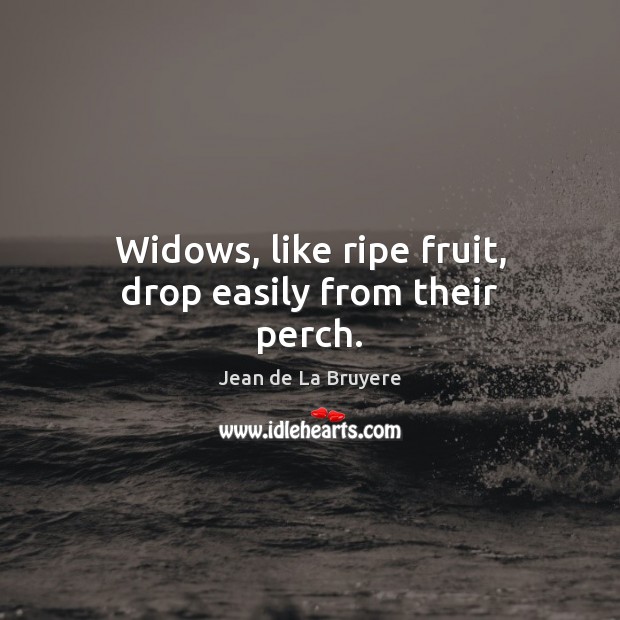 Widows, like ripe fruit, drop easily from their perch. Jean de La Bruyere Picture Quote