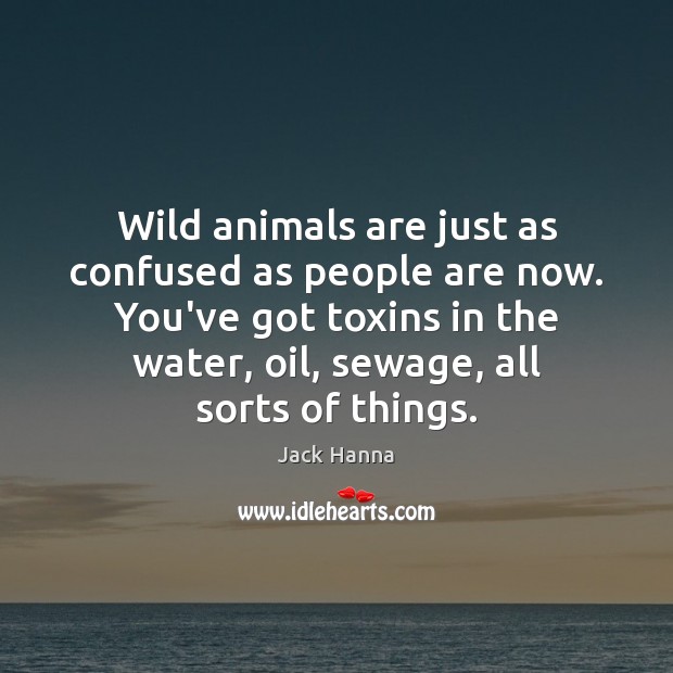 Wild animals are just as confused as people are now. You’ve got Jack Hanna Picture Quote