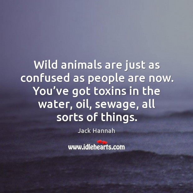 Wild animals are just as confused as people are now. Image