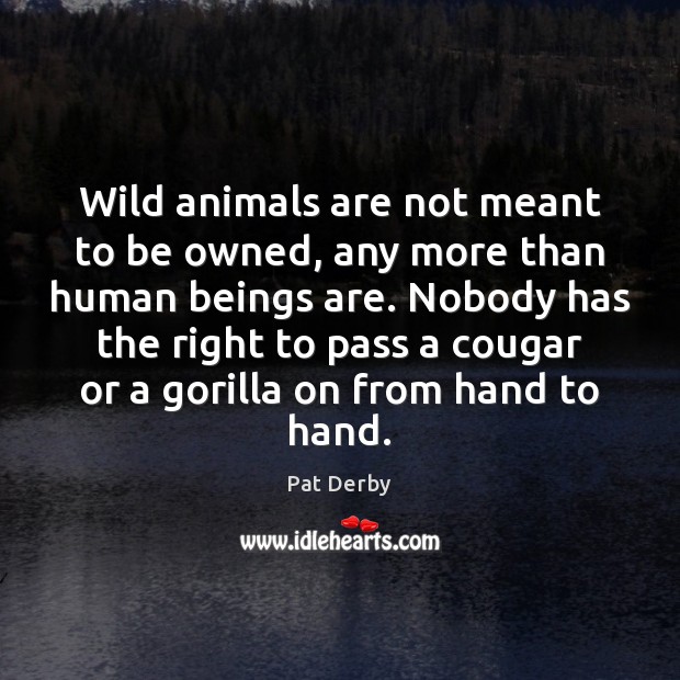 Wild animals are not meant to be owned, any more than human Image