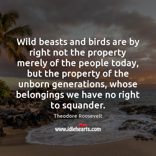 Wild beasts and birds are by right not the property merely of Theodore Roosevelt Picture Quote