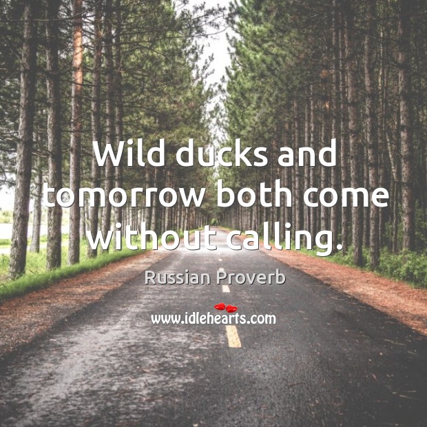 Wild ducks and tomorrow both come without calling. Russian Proverbs Image