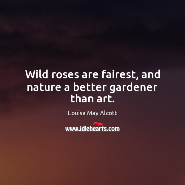 Wild roses are fairest, and nature a better gardener than art. Louisa May Alcott Picture Quote