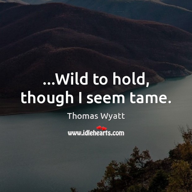 …Wild to hold, though I seem tame. Image