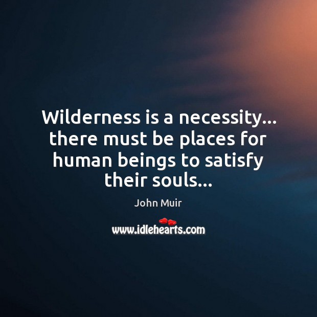 Wilderness is a necessity… there must be places for human beings to John Muir Picture Quote