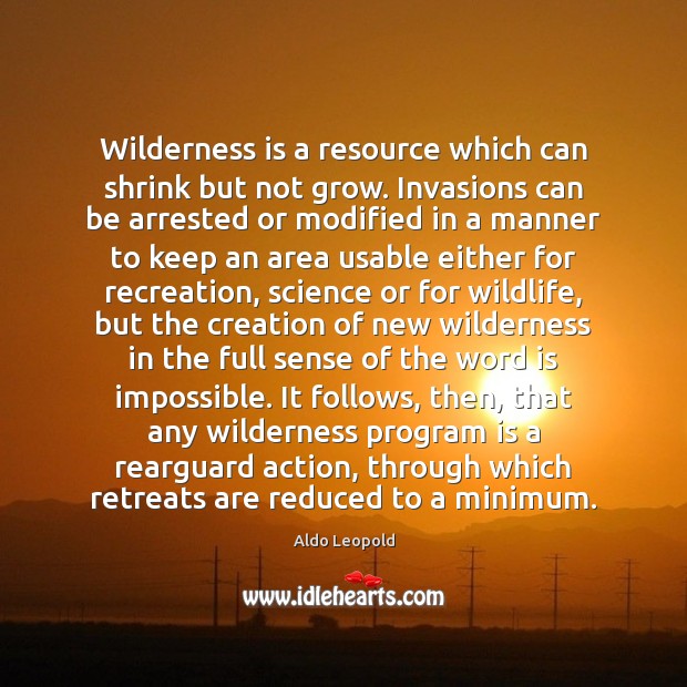 Wilderness is a resource which can shrink but not grow. Invasions can Image