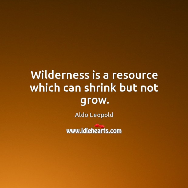 Wilderness is a resource which can shrink but not grow. Aldo Leopold Picture Quote