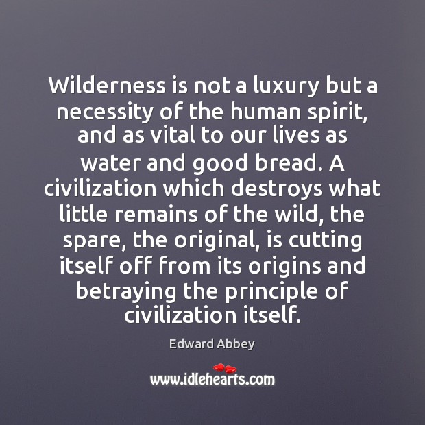 Wilderness is not a luxury but a necessity of the human spirit, Edward Abbey Picture Quote