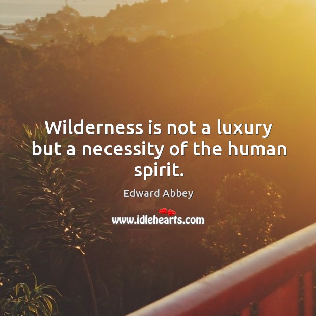 Wilderness is not a luxury but a necessity of the human spirit. Image