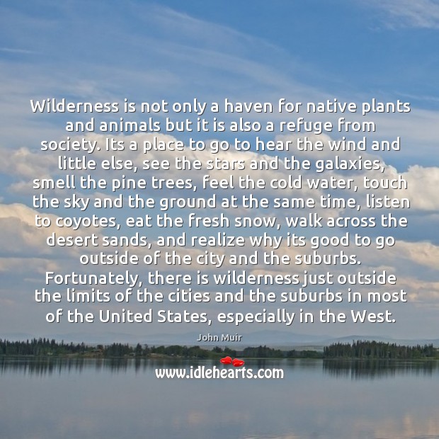 Wilderness is not only a haven for native plants and animals but Image