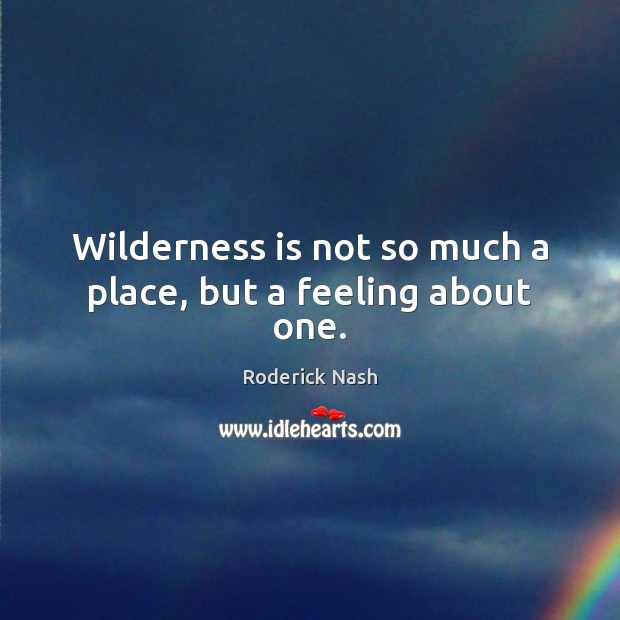 Wilderness is not so much a place, but a feeling about one. Roderick Nash Picture Quote