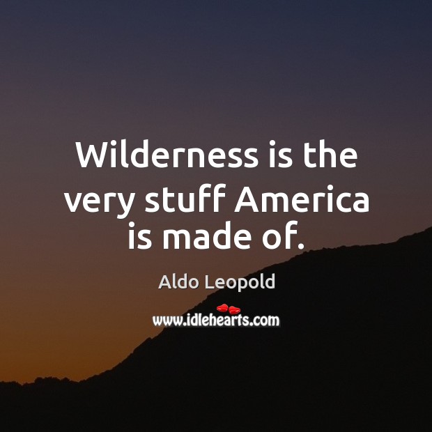 Wilderness is the very stuff America is made of. Aldo Leopold Picture Quote